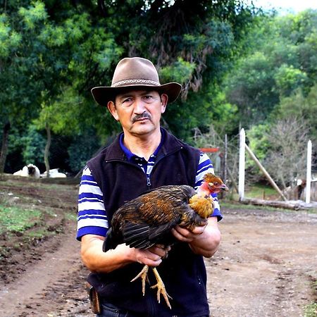 Cabanas Huilipan Gonzalez Nueva Imperial エクステリア 写真