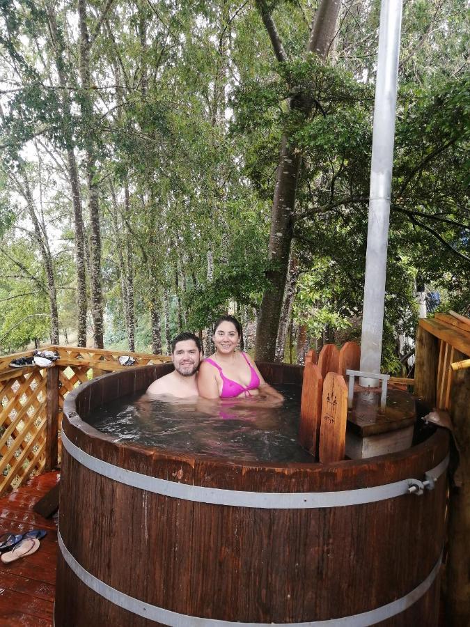 Cabanas Huilipan Gonzalez Nueva Imperial エクステリア 写真