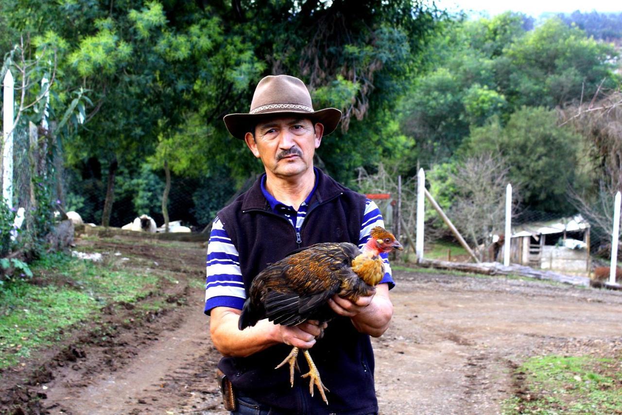 Cabanas Huilipan Gonzalez Nueva Imperial エクステリア 写真
